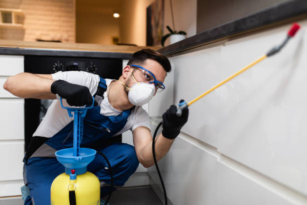 Best Rat Extermination Near Me  in Lincoln Park, NY