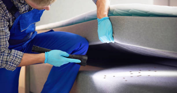 Pest Prevention Services in Lincoln Park, NY