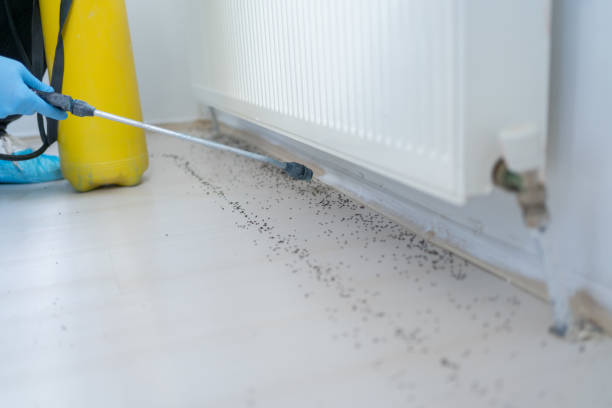 Best Best Pest Control Companies  in Lincoln Park, NY