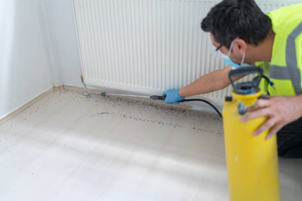 Pest Control for Restaurants in Lincoln Park, NY