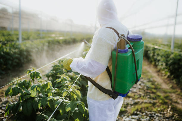 Best Residential Pest Control  in Lincoln Park, NY